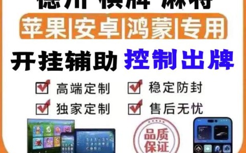 教程辅助“wepoker微透视挂方法”详细透视辅助教学(全新上线)