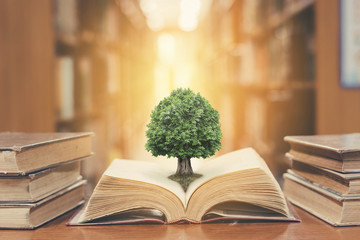 新疆排名3000名能上的大学 新疆有几所大学排名一览表